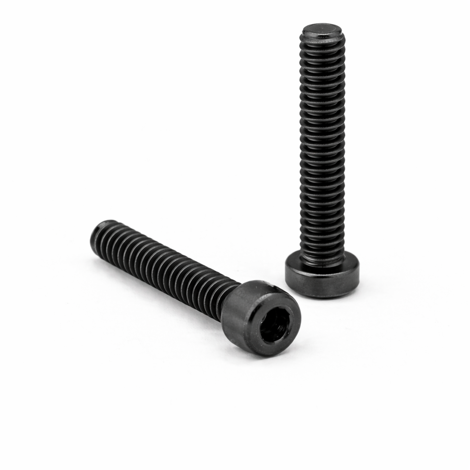 M2x20mm Cap Head Screws (2-Pack)