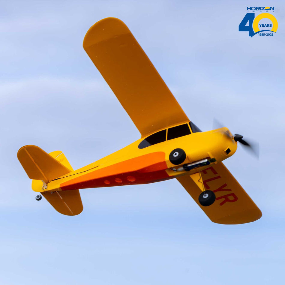 Hobbyzone Champ Anniversary Special Edition 515mm BNF Basic