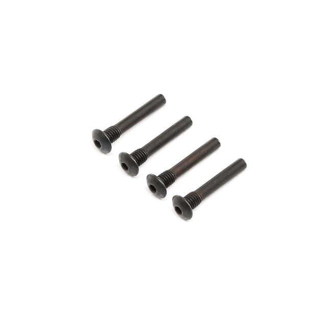 Hinge Pin Screw, Outer (4): Super Baja Rey