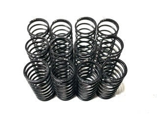 Team GFRP Big Bore Rated Shock Spring Set